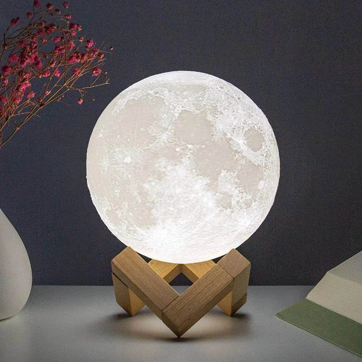 Moon Night Light